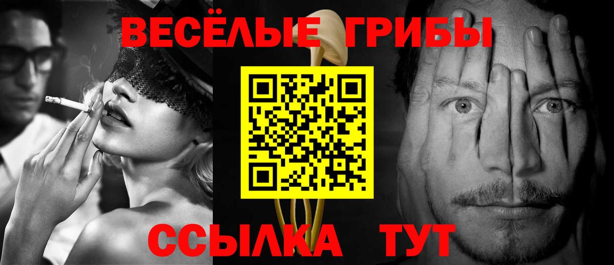 Псилоцибиновые грибы GOLDEN TEACHER  Вход с VPN  Анапа  Галлюциногенные грибы Cubensis 